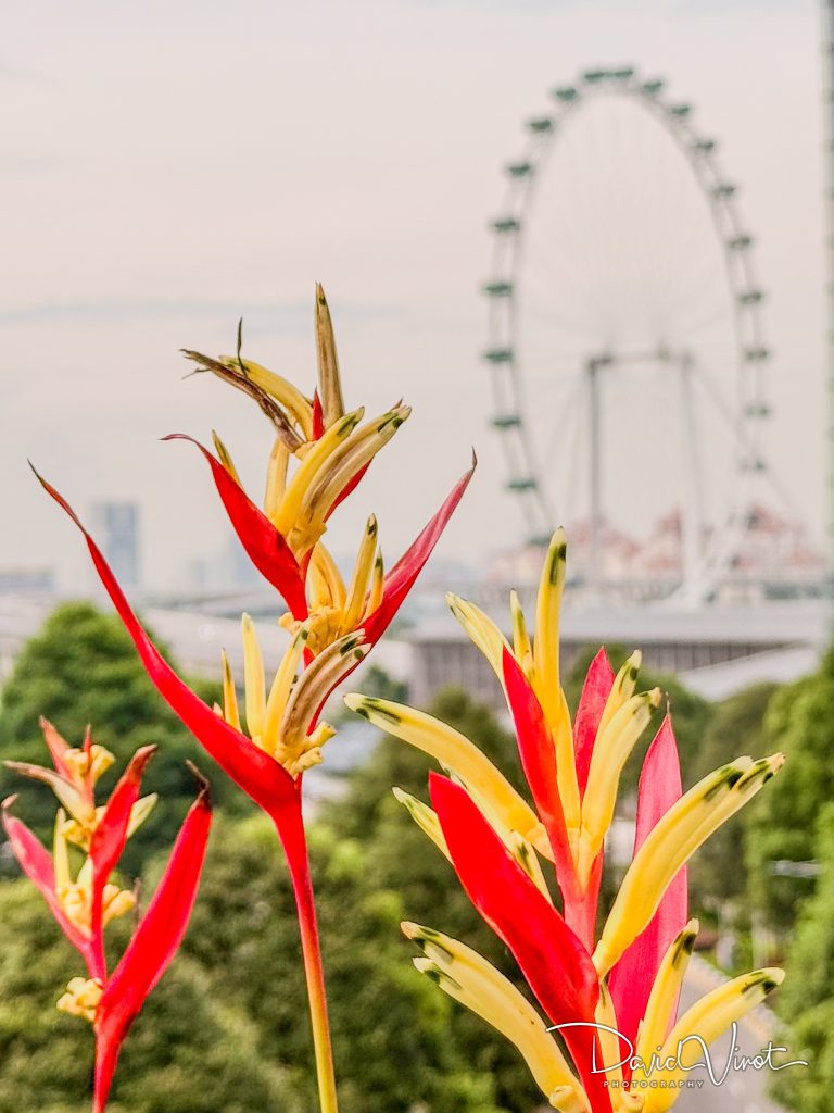 Genting Hotel Jurong