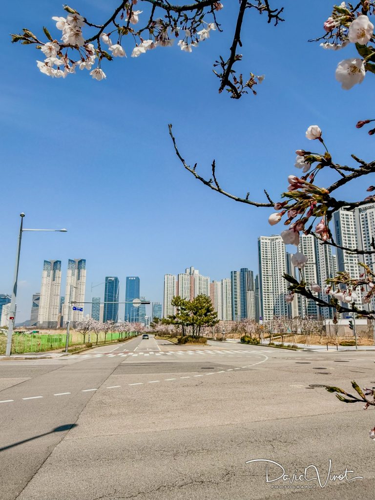 Orakai Songdo Park Hotel (오라카이 송도파크 호텔)