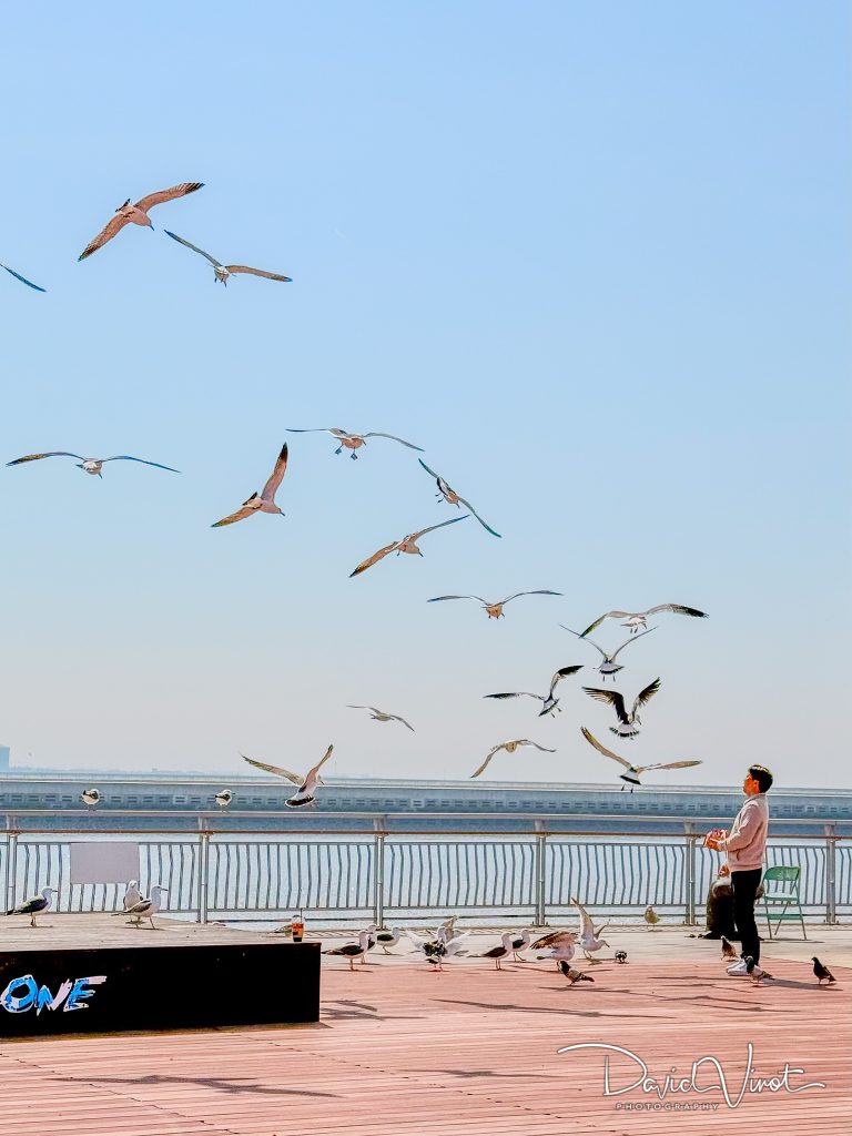 Orakai Songdo Park Hotel (오라카이 송도파크 호텔)