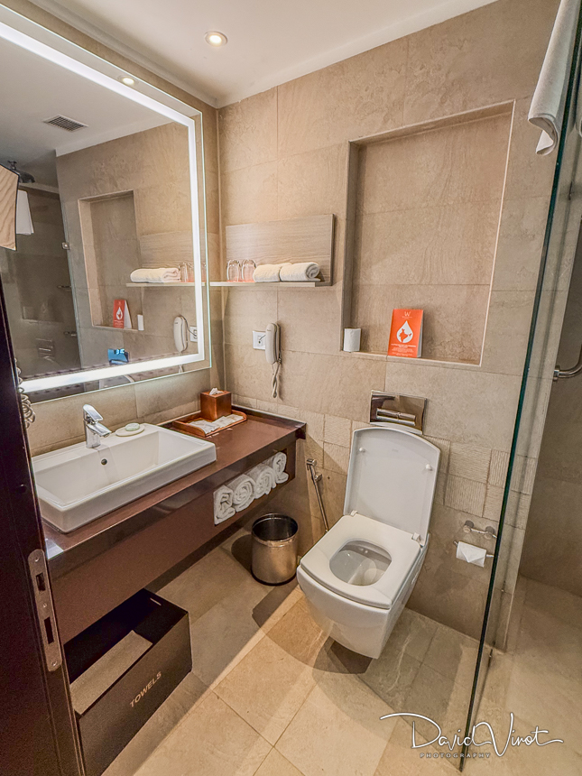 Review WelcomHotel by ITC Hotels Dwarka