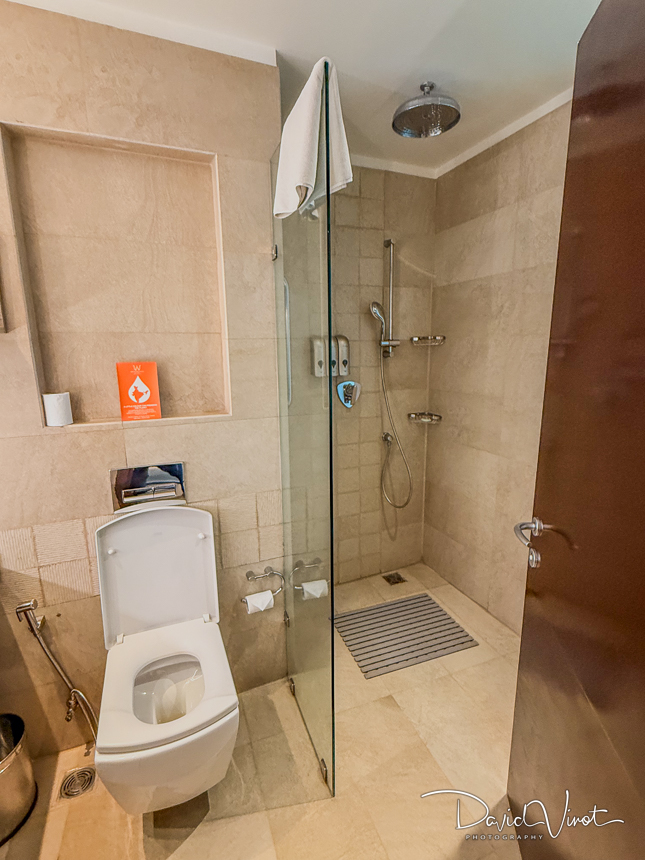 Review WelcomHotel by ITC Hotels Dwarka